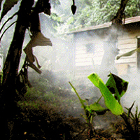 Quand nos morts sont loin