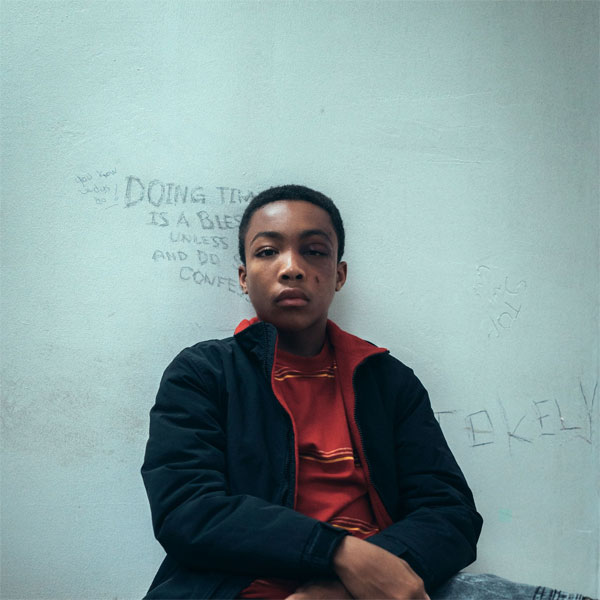 When they see us, d’Ava DuVernay