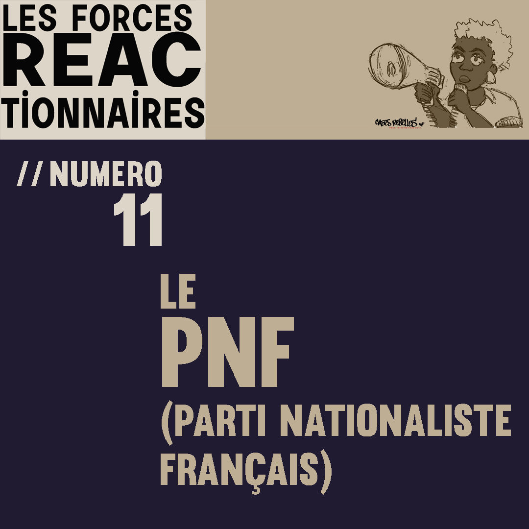 Des Forces réactionnaires n°11 - le PNF (parti nationaliste français)